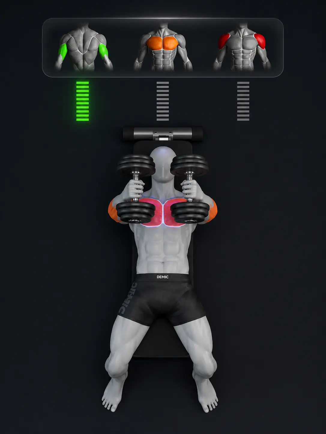 Muscle activation exercise visual