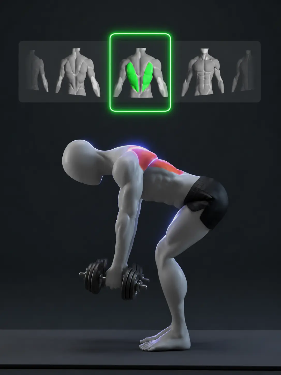 Strength training exercise visual
